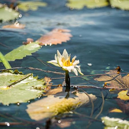 Casa Sol Y Luna Bacalar Panzió Kültér fotó