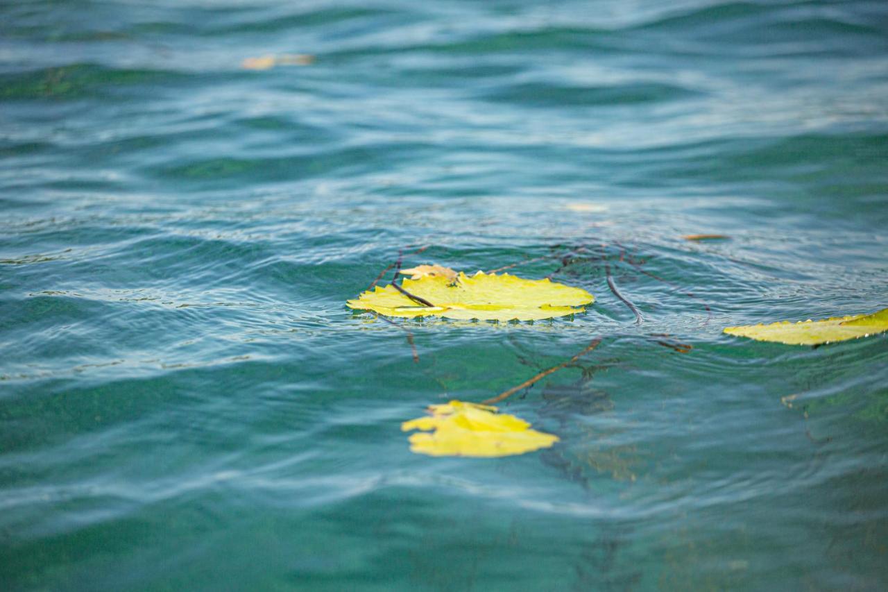 Casa Sol Y Luna Bacalar Panzió Kültér fotó